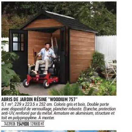 abris de jardin résine "woodium 757"