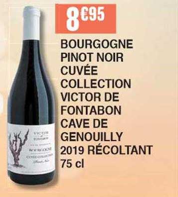 bougogne pinot noir cuvée collection victor de fontabon cave de genouilly 2019 récoltant 75 cl