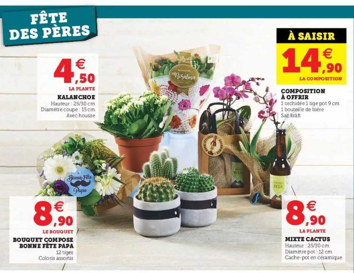 kalanchoe, bouquet composé bonne fête papa, composition à offrir, mixte cactus