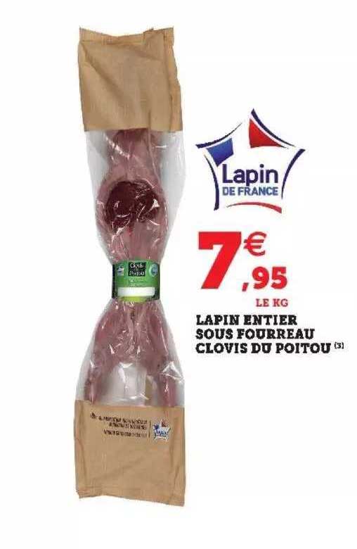 lapin entier sous fourreau clovis du poitou