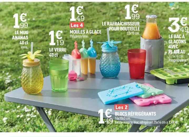 le mug ananas 40 cl, le verre 40 cl, moules à glace, le rafraîchisseur pour bouteille, le bac à glaçons avec plateau, blocs réfrigérants