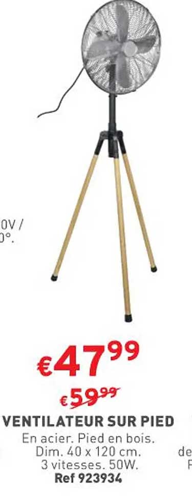 Ventilateur Sur Pied