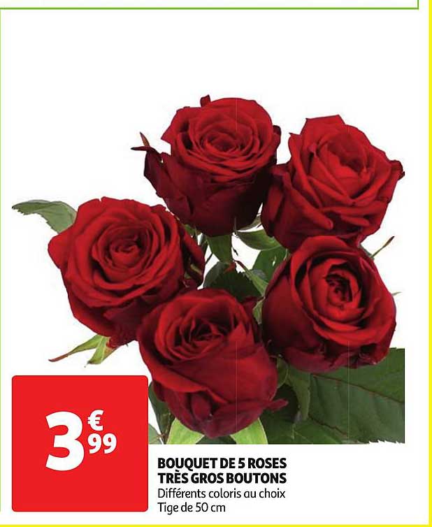 bouquet de 5 roses très gros boutons