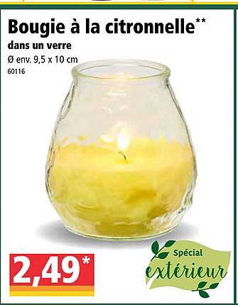 bougie à la citronnelle dans un verre