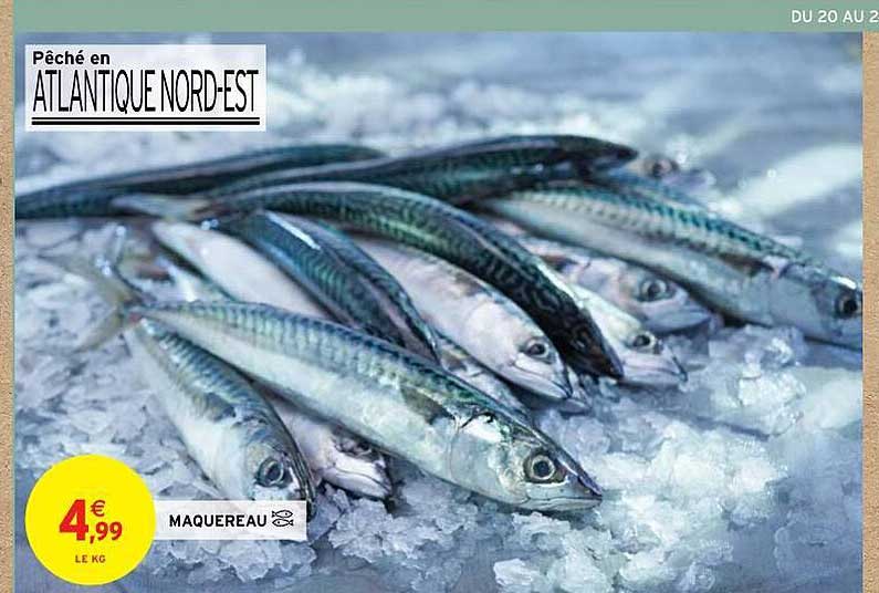 Maquereau