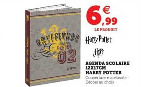 agenda scolaire 12x17 cm harry potter
