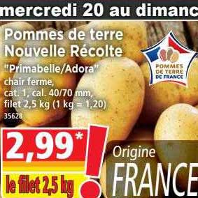 Pommes De Terre Nouvelle Récolte
