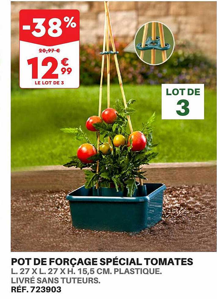 pot de forçage spécial tomates