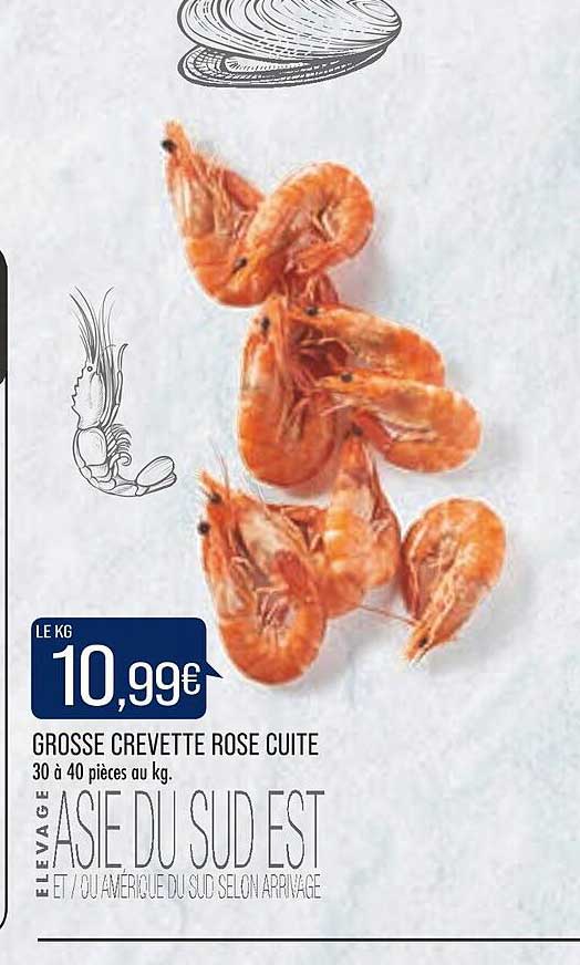 grosse crevette rose cuite