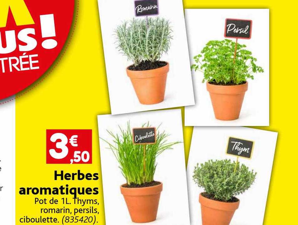Herbes Aromatiques