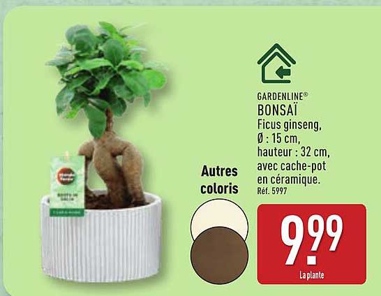 GARDENLINE BONSAÏ