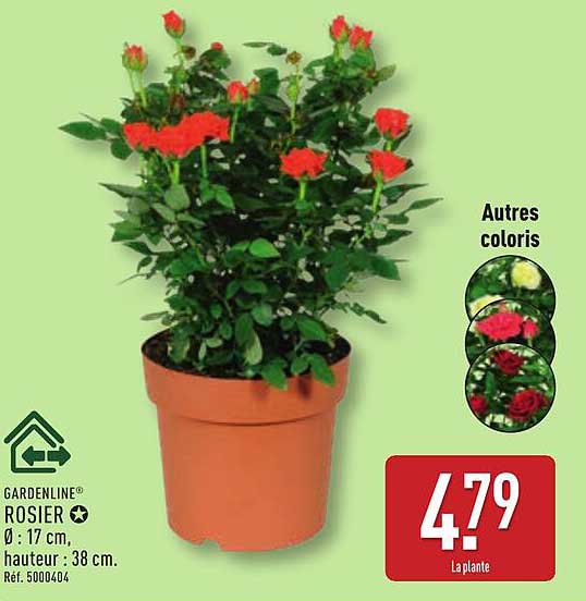 GARDENLINE ROSIER