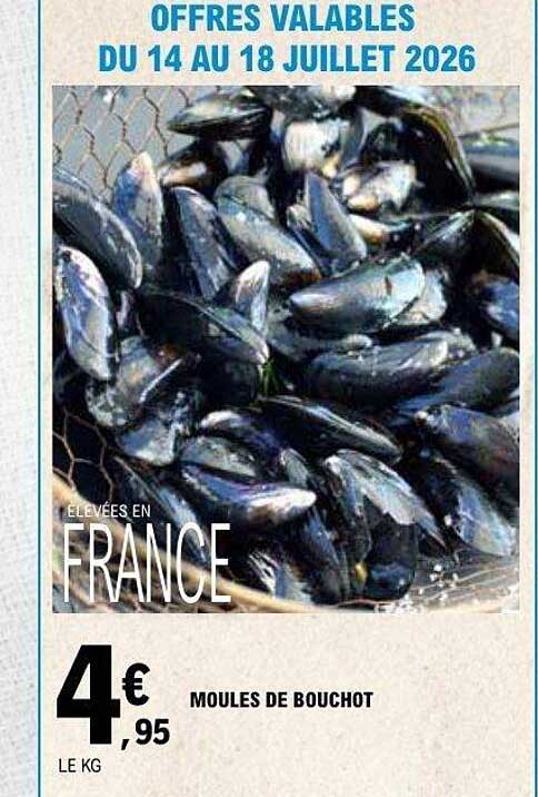 MOULES DE BOUCHOT