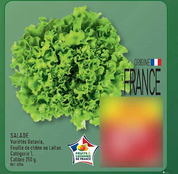 SALADE