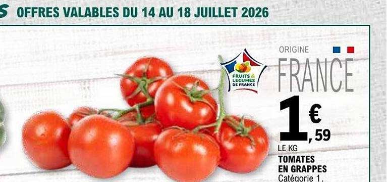 TOMATES EN GRAPPES