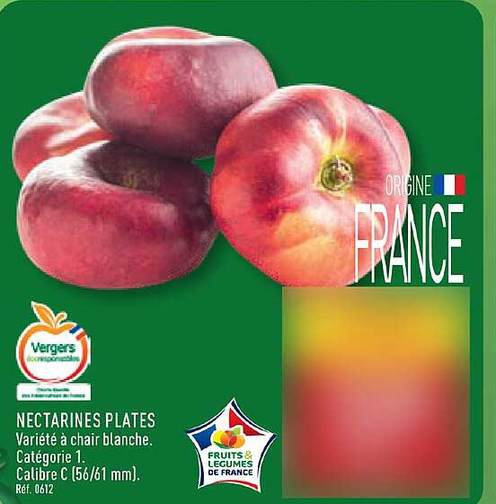VERGERS Ecoresponsables NECTARINES PLATES