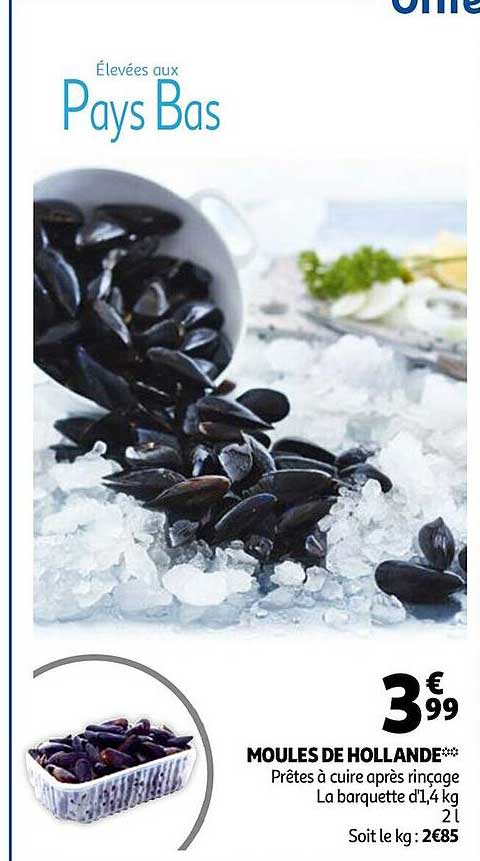 moules de holland