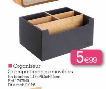 organiseur 5 compartiments amovibles