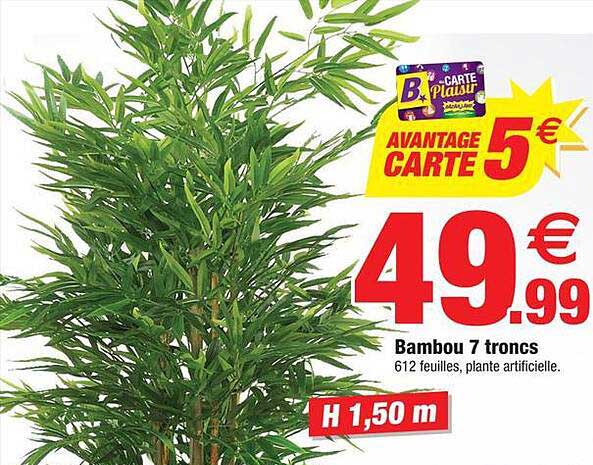 bambou 7 troncs