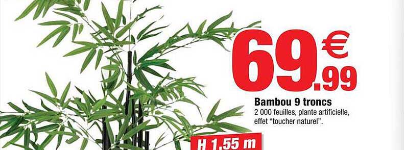 bambou 9 troncs