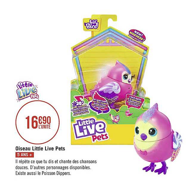 oiseau little live pets