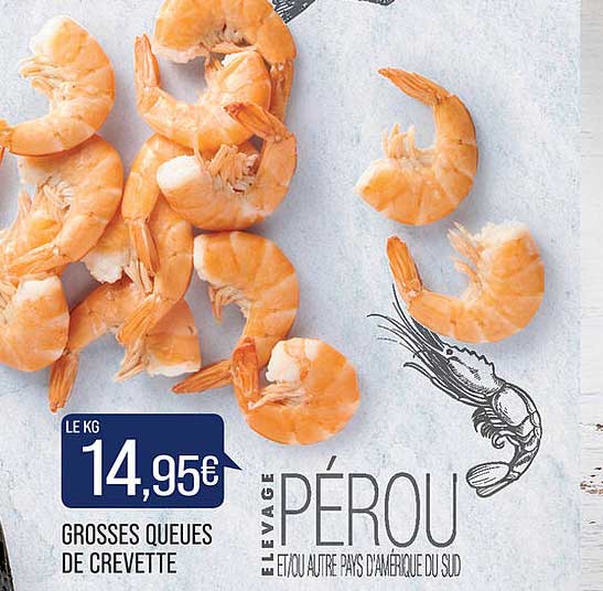 grosses queues de crevette