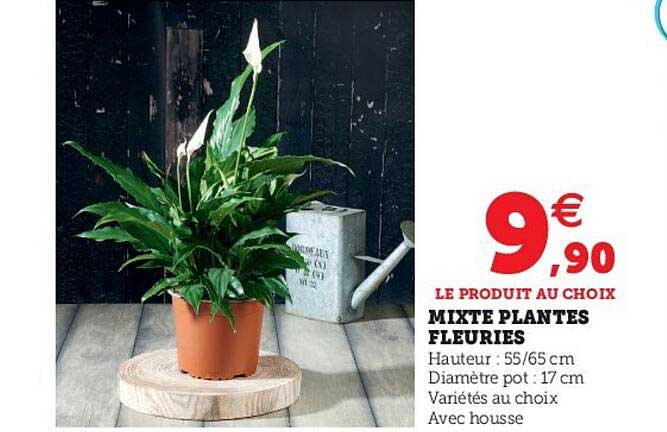 mixte plantes fleuries