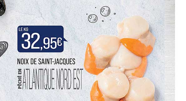 noix de saint-jacques