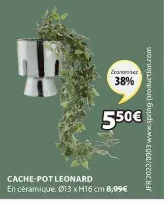 cache-pot leonard