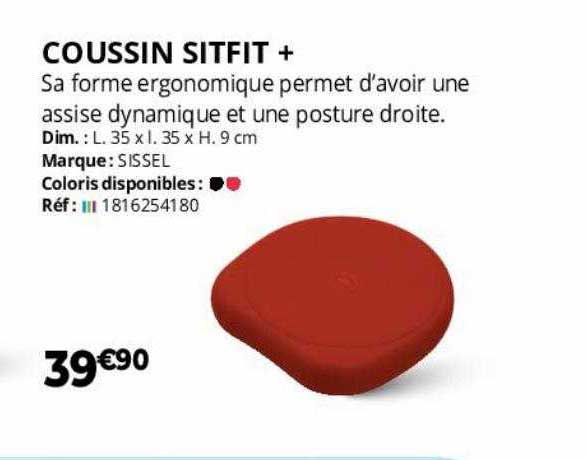 Coussin Sitfit+ Sissel