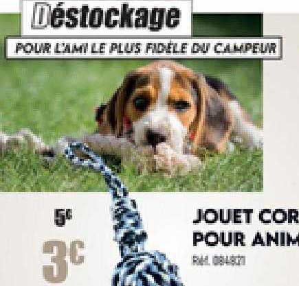jouet corde pour animaux