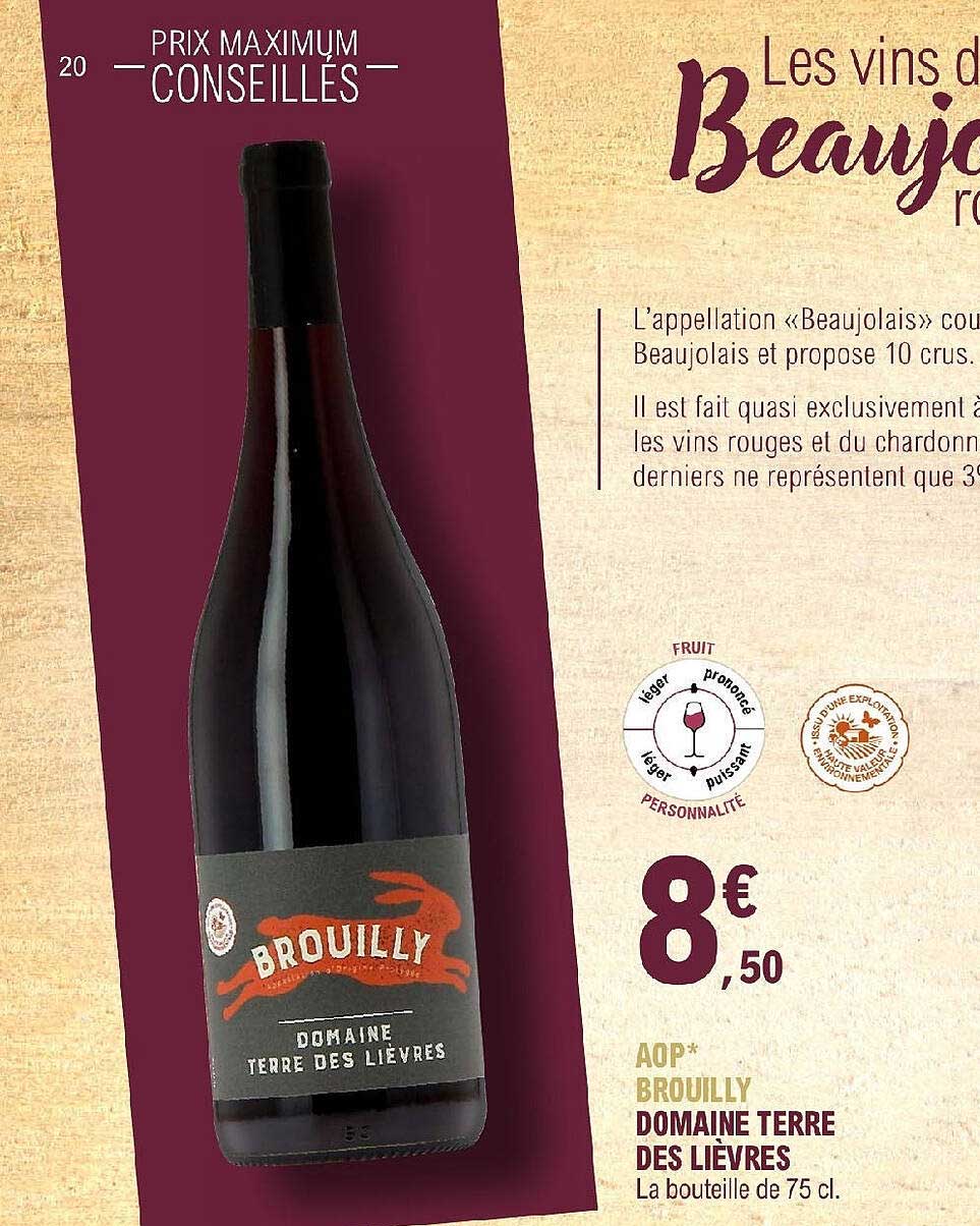 aop brouilly domaine terre des lièvres