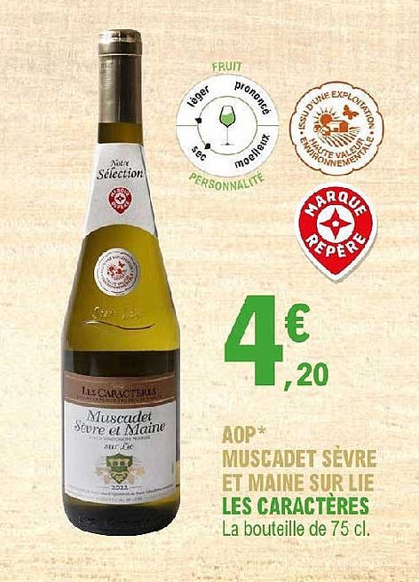 aop muscadet sèvre et maine sur lie les caractères