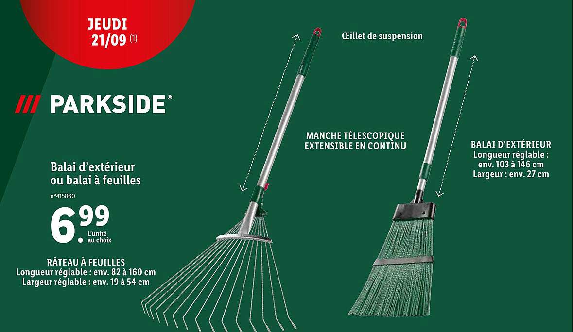 Balai D'extérieur Ou Balai à Feuilles Parkside