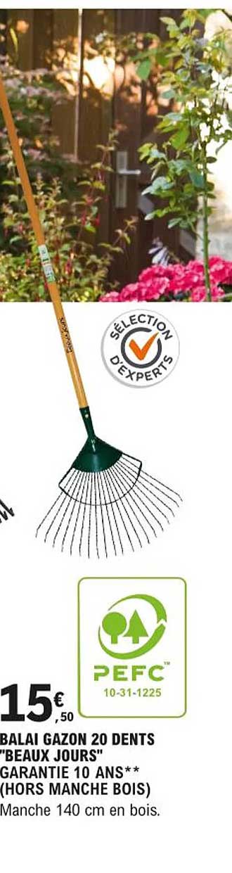 balai gazon 20 dents "beaux jours"