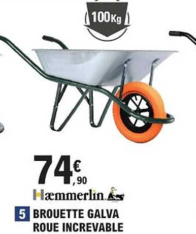brouette galva roue invrevable