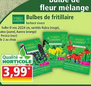 bulbes de fritillaire finest garden
