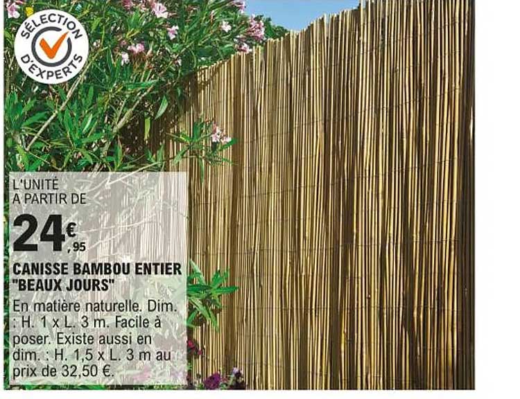 canisse bambou entier "beaux jours"