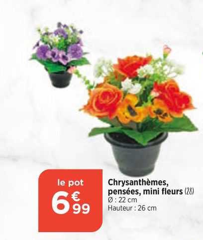 Chrysanthèmes, Pensées, Mini Fleurs
