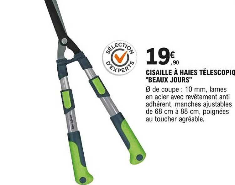 cisaille à haies télescopique "beaux jours"