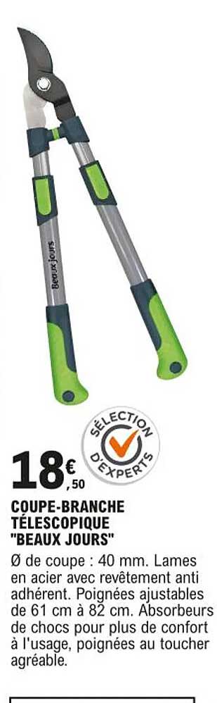coupe-branche télescopique "beaux jours"