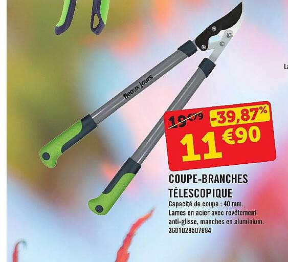 coupe-branches télescopique