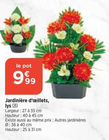 jardinière d'oeillets, lys