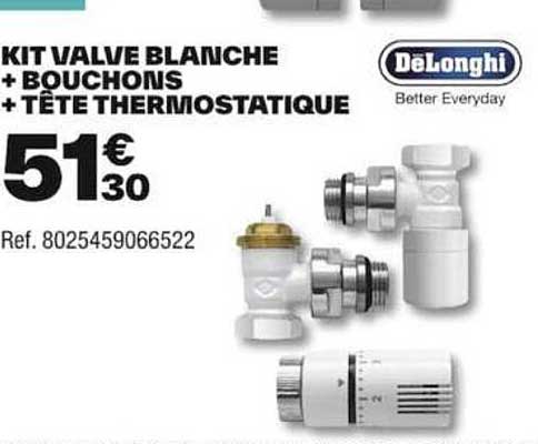 kit  valve blanche + bouchons + tête thermostatique delonghi