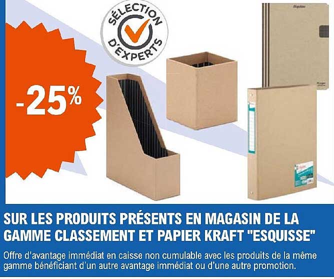 La Gamme Classement Et Papier Kraft "esquisse"