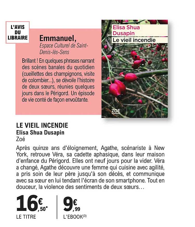 le vieil incendie - elisa shua dusapin