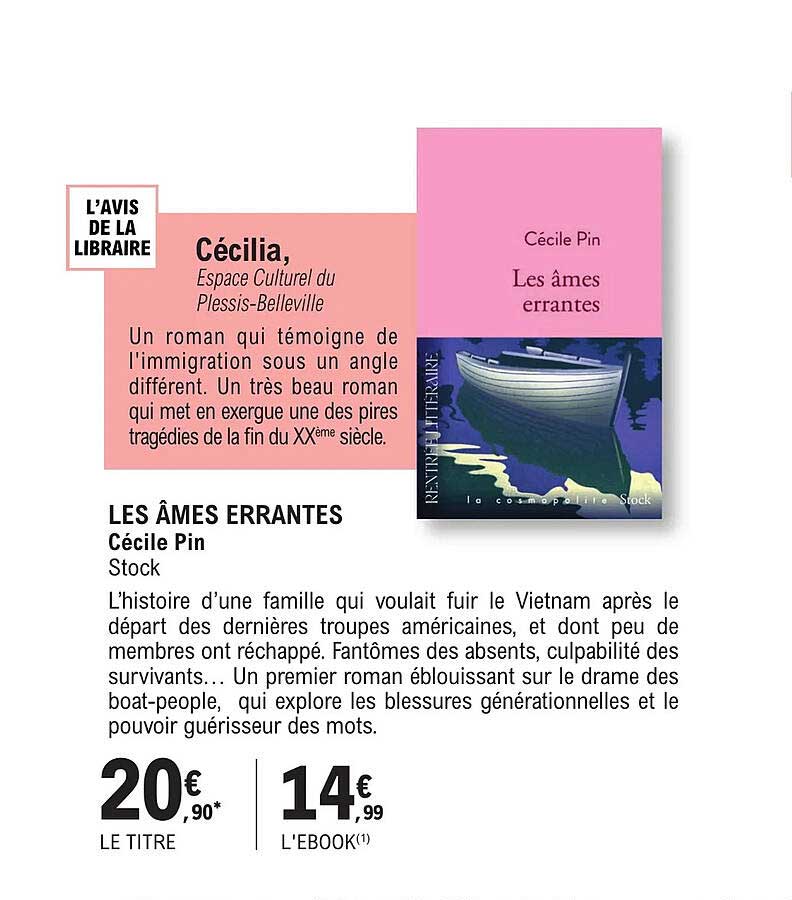 les âmes errantes - cécile pin