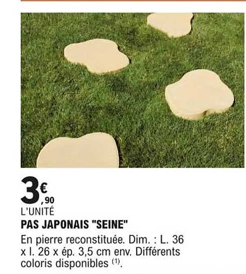 pas japonais "seine"