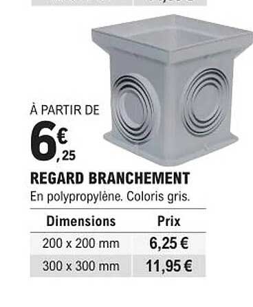 regard branchement