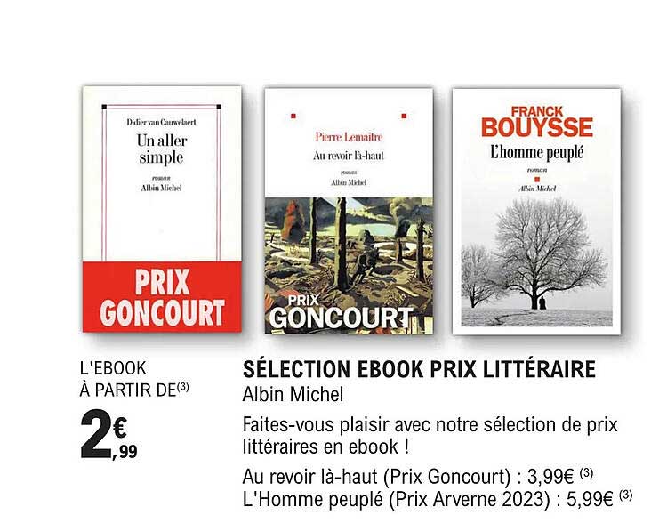 sélection ebook prix littéraire - albin michel
